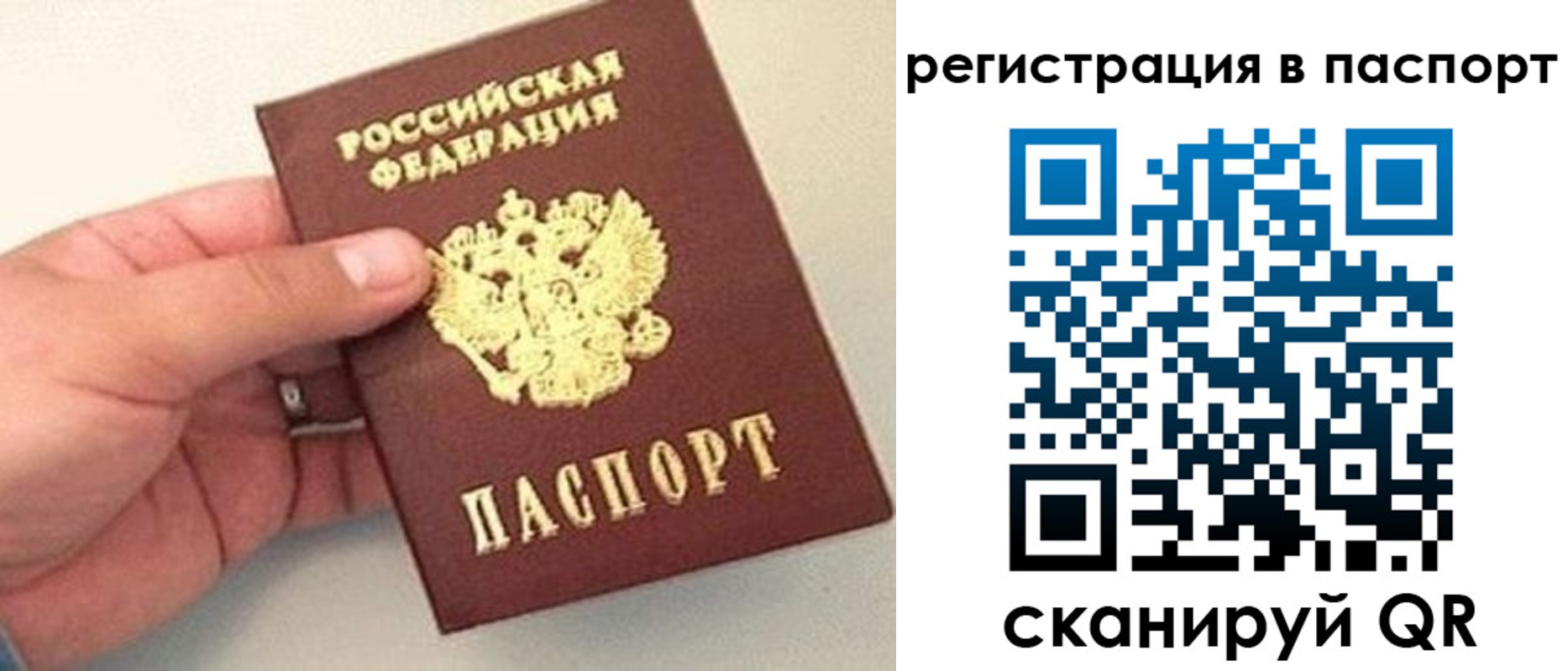 прописка законно в Далматово